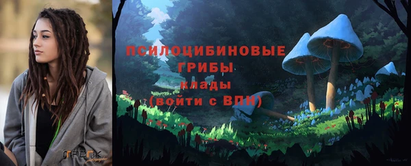 дурь Майский