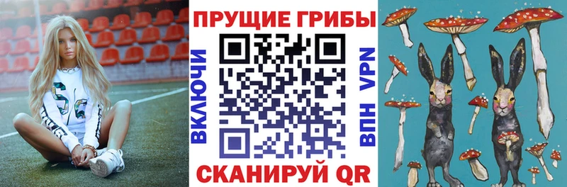 Купить где Красный Сулин Галлюциногенные грибы MAGIC MUSHROOMS